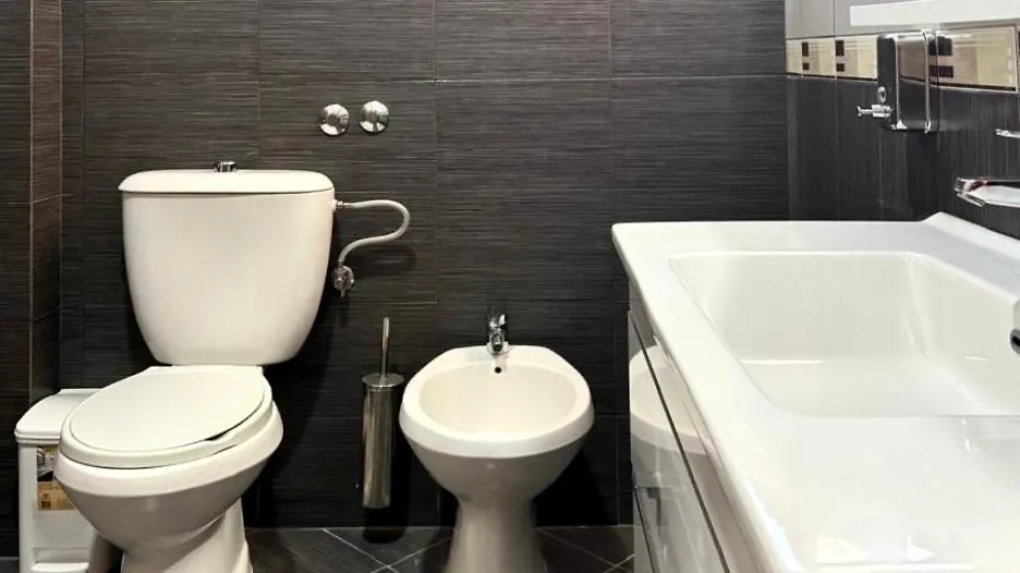 Triena Rooms فيير 0*,